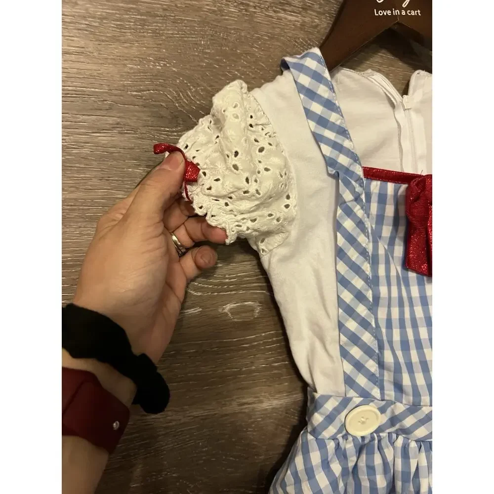 Wizard of Oz Dorothy Dress Child’s Small Costume Homemade Halloween Sz 3T